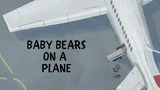 Baby Bears on a Plane
