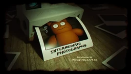 Intermediate Photography