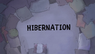 Hibernation.png