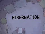 Hibernation