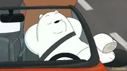 Ice Bear is chilling.