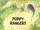 Poppy Rangers