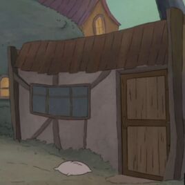 THe Shed
