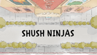 Shushninjas.png