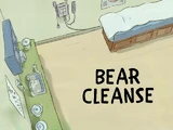 Bear Cleanse/Gallery