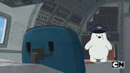 S02 Baby Bears on a Plane (246)