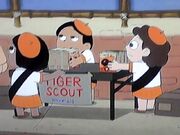 TigerScoutTroop401