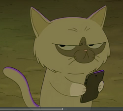 Angry Kitty, We Bare Bears Wiki