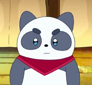 Cousin Panda (Disguise)