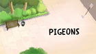 Pigeons