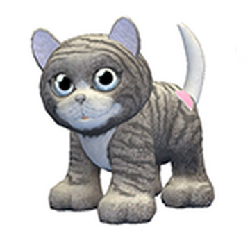 Webkinz tabby cat shop