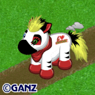 Rockerz Zebra Gif