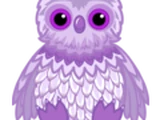 Twilight Owl