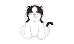 Webkinz black and sales white cat