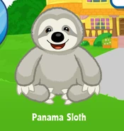 Panama Sloth adoption.png (736 KB)