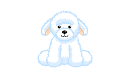 Bichon frise