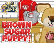 June2023 potm MP1-carousel.jpg (55 KB)