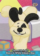 Series 3 (2008): B3-06 (Front)