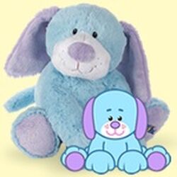 Webkinz jr discount