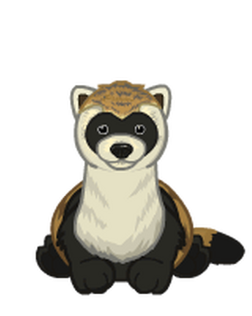 webkinz ferret