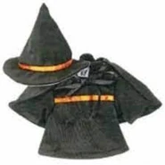 Witch Costume