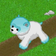 Blue Avenue Pomeranian Gif