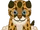 Cougar Cub