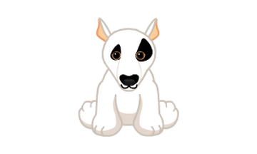Webkinz signature bull shop terrier