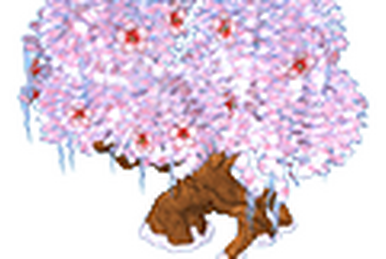 Frosty fawn webkinz hotsell