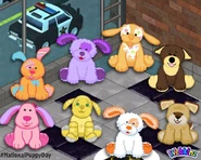 National Puppy Day, Facebook Post 1: March 23, 2017