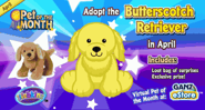 ButterscotchRetriever MP1-300x160.png (15 KB)