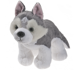 Husky webkinz hot sale