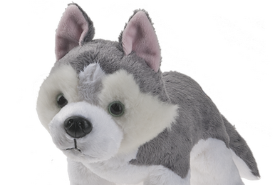 Snow Lynx Webkinz Wiki Fandom