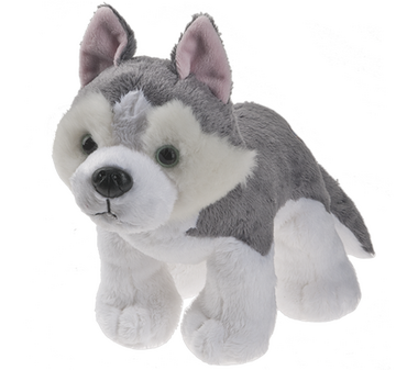 Webkinz signature husky outlet