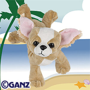 chihuahua webkinz