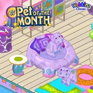 ARTICLE-POTM-HippieHippo.jpg (202 KB)