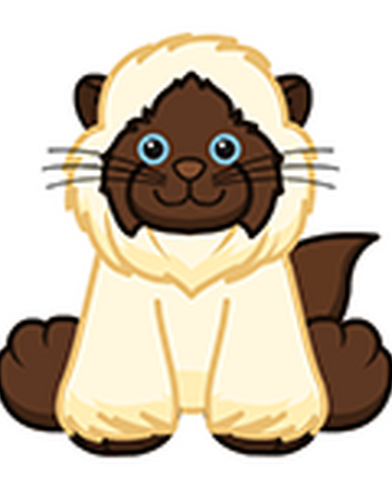 webkinz himalayan cat