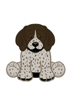 Signature German Shorthaired Pointer Webkinz Wiki Fandom