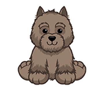 Webkinz terrier shop