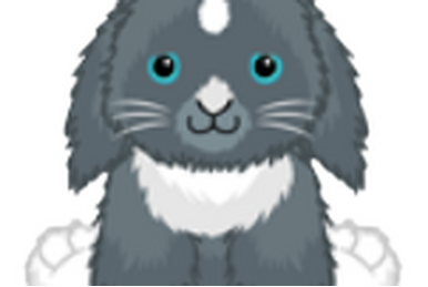 Webkinz floppy eared bunny new arrivals
