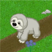 Panama Sloth v240.gif (377 KB)