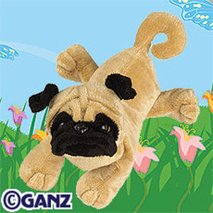 webkinz french bulldog
