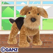 Airedale Terrier Plush Pet.jpg (18 KB)