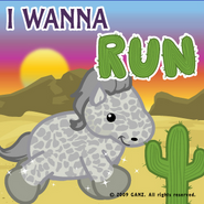 A Grey Arabian featured on the I Wanna Run album cover.