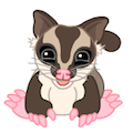 webkinz sugar glider