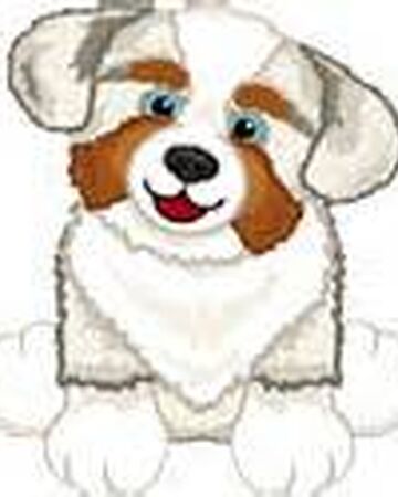 webkinz australian shepherd