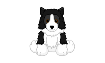 Webkinz on sale signature collie