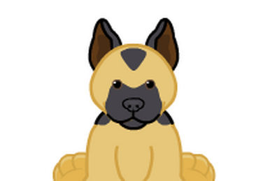 Webkinz jack russell 2025