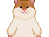 Honey Hamster