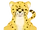 Signature Cheetah